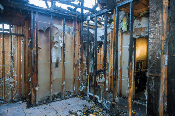 Professional Fire Damage Repair technician working in Dundas, MN
